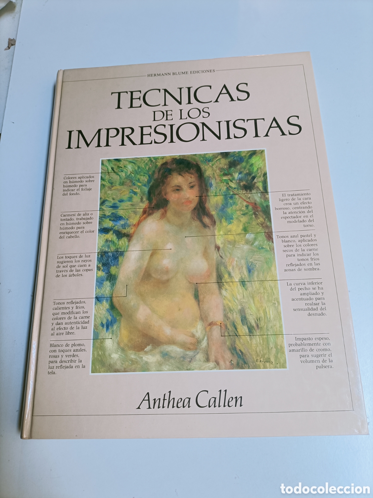 Libros de segunda mano: T&eacute;cnicas de los impresionistas Anthea Callen