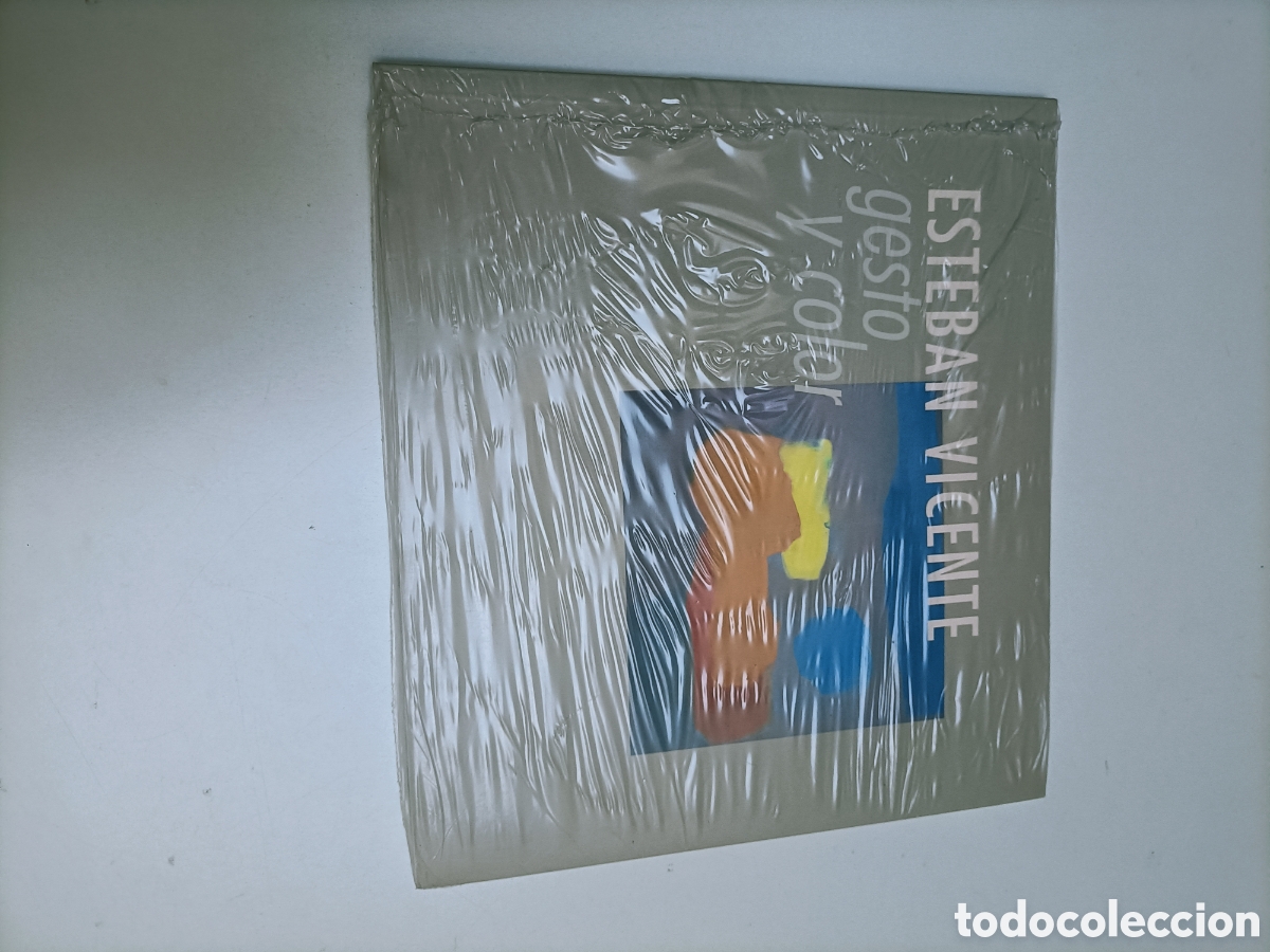 Libros de segunda mano: Esteban Vicente gesto y color . Museu de art espanyol contempor&aacute;ni. Fundaci&oacute;n Juan March Palma