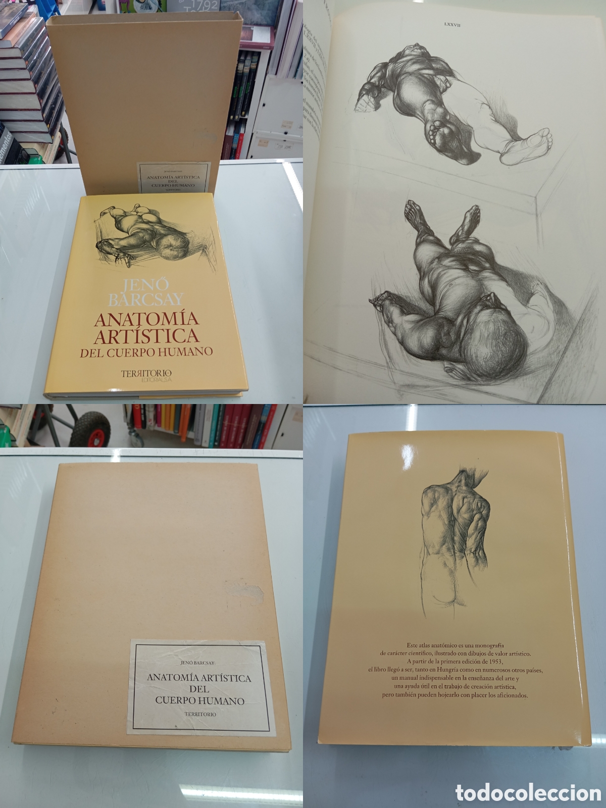 Libros de segunda mano: ANATOMIA ARTISTICA DEL CUERPO HUMANO Dibujos/Texto JENO BARCSAY TERRITORIO EN ESTUCHE MUY BUEN ESTAD