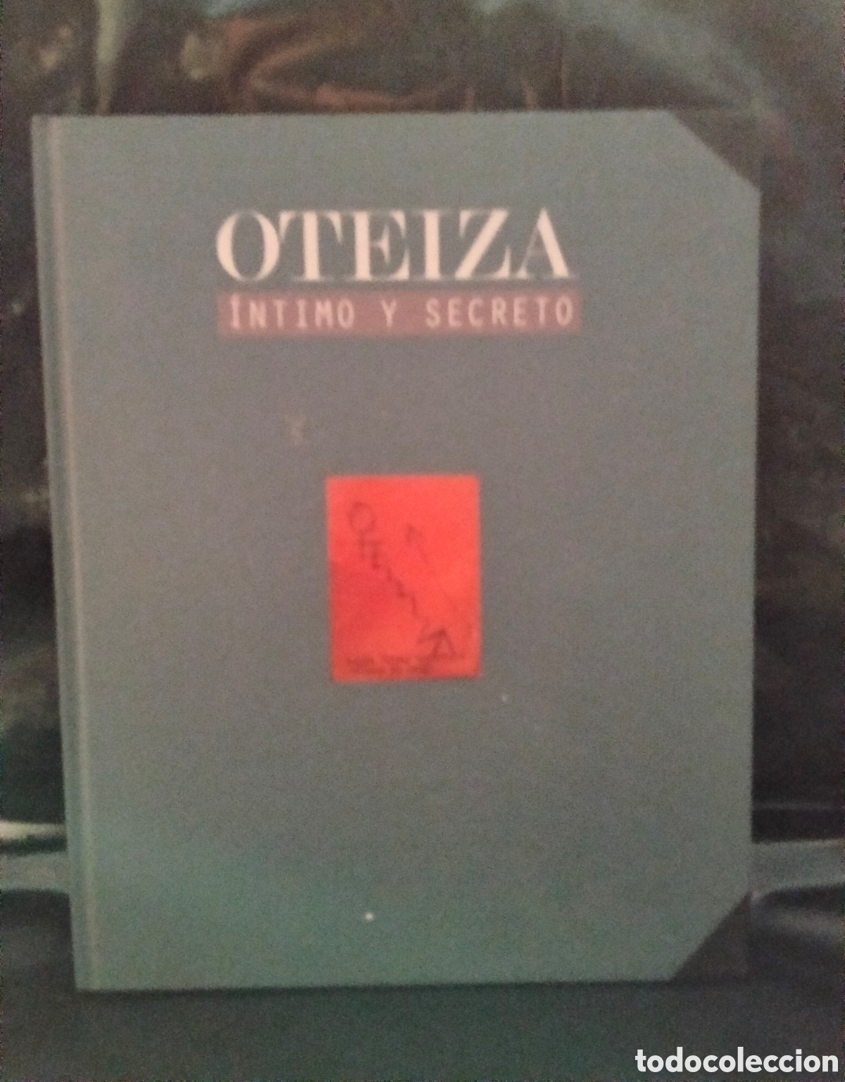 Libros de segunda mano: OTEIZA. OTEIZA &Iacute;NTIMO Y SECRETO . IVAM