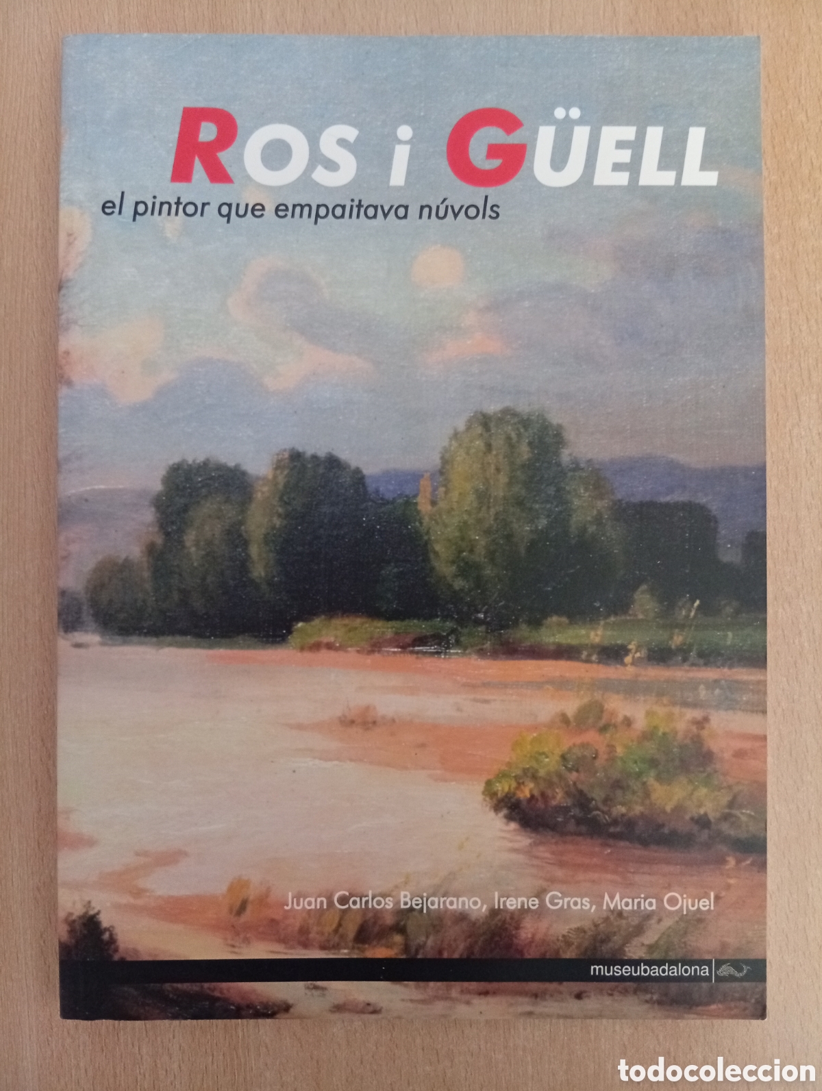 Libros de segunda mano: ROS I G&Uuml;ELL, EL PINTOR QUE EMPAITAVA N&Uacute;VOLS. Juan Carlos Bejarano/Irene Gras/Maria Ojuel