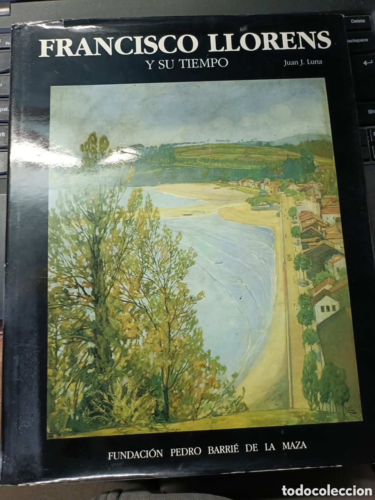 Libros de segunda mano: Francisco Llorens y su tiempo, Juan J. Luna. Fundaci&oacute;n Barrie de la Maza, tapa dura. Gran formato