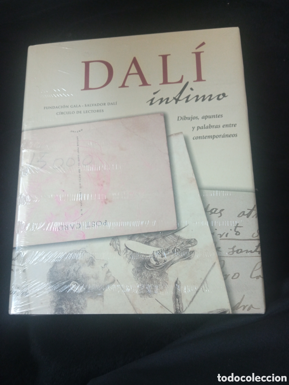 Libros de segunda mano: Libro, Dali &iacute;ntimo, dibujos, apuntes y palabras entre Comtemporaneos