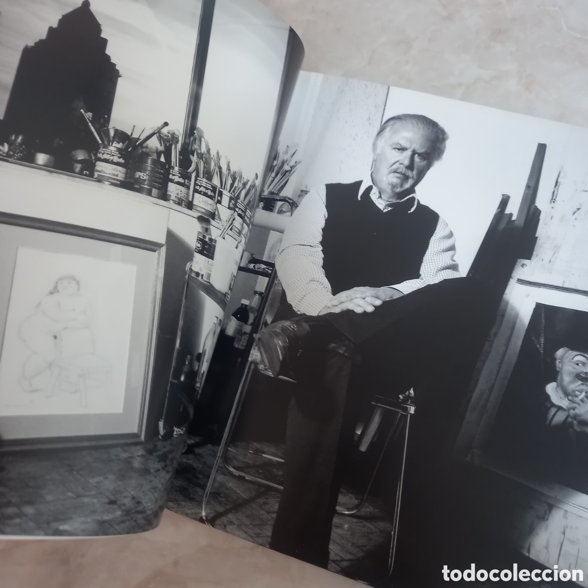 Libros de segunda mano: Libro Fernando Botero Lleno de im&aacute;genes cuadro artista maestro formato grande de lujo Dificil