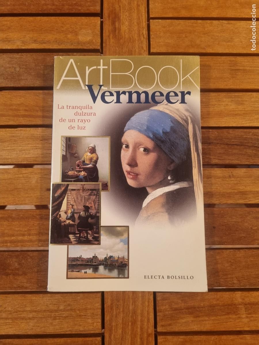 Libros de segunda mano: Vermeer - La tranquila dulzura de un rayo de luz - Libro de arte - Muy ilustrado - BDC