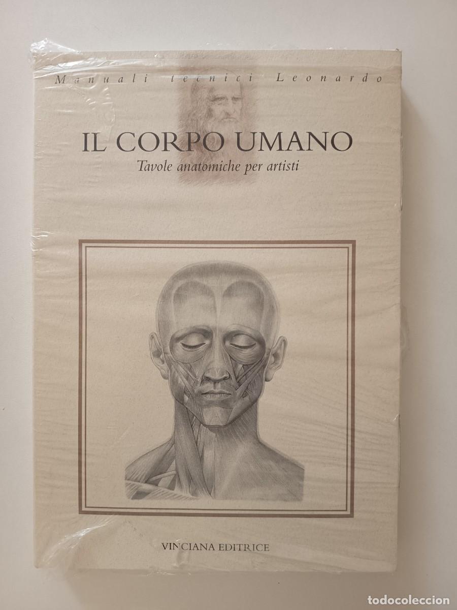 Libros de segunda mano: Il corpo umano.Tavole anatomiche per artisti.Vinciana Editrice.