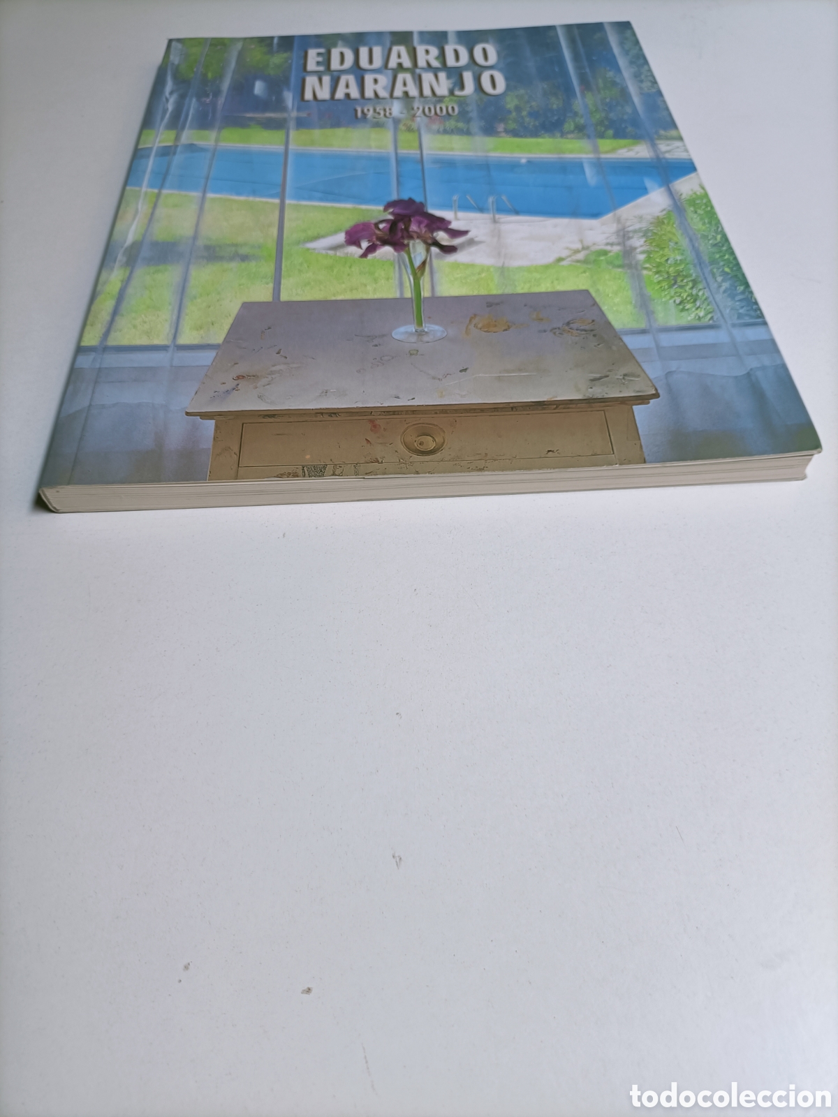 Libros de segunda mano: Eduardo Naranjo 1958 2000 Cajanova - Foto 2