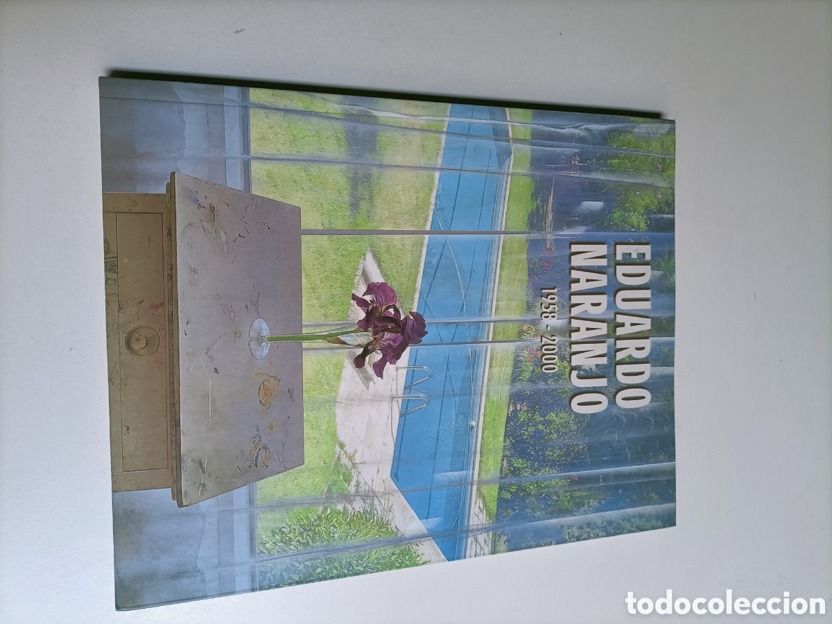 Libros de segunda mano: Eduardo Naranjo 1958 2000 Cajanova