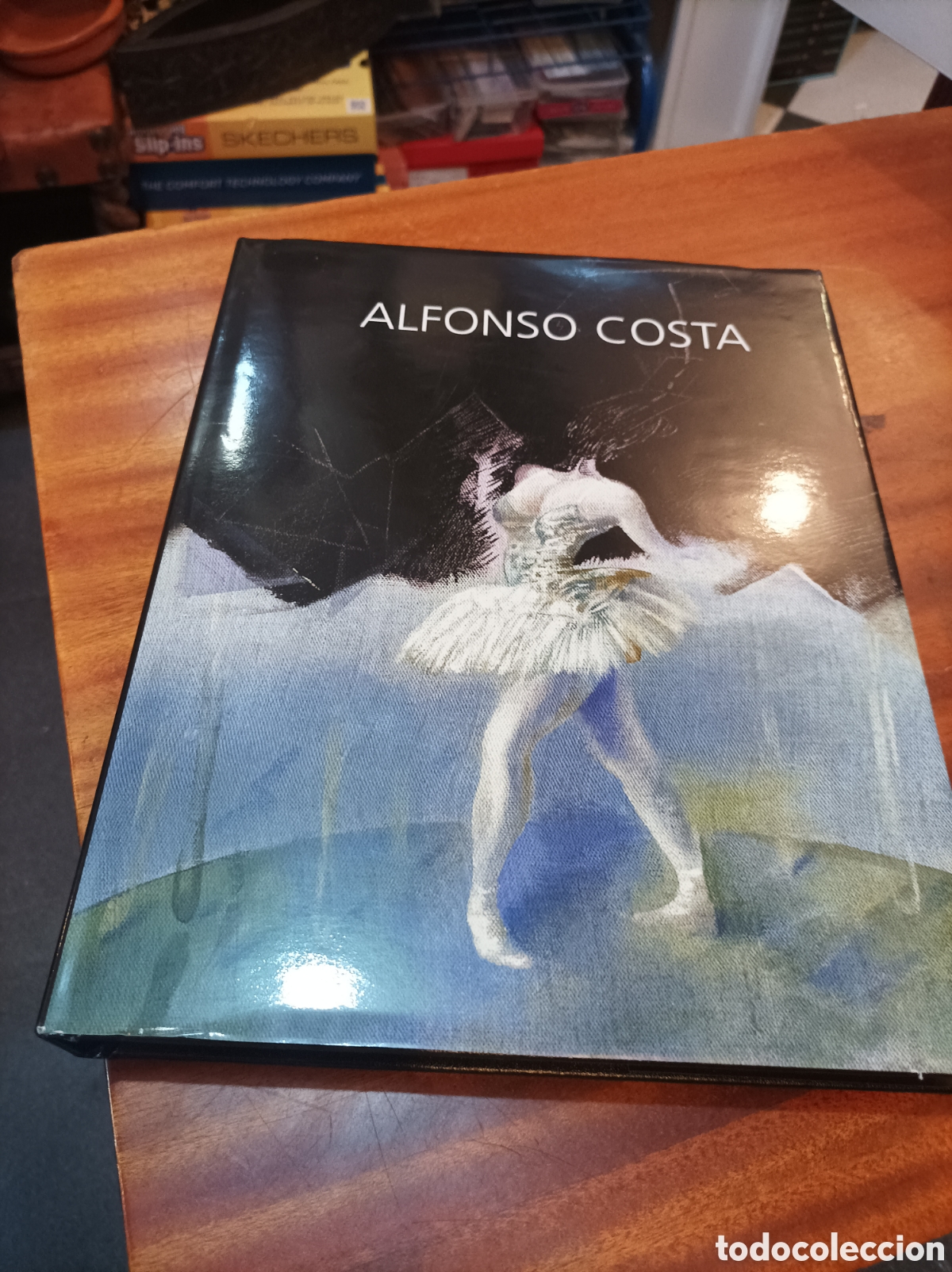 Libros de segunda mano: ALFONSO COSTA. COLECCI&Oacute;N GRANDES PINTORES 2007
