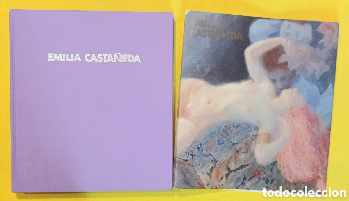 Libros de segunda mano: Emilia Casta&ntilde;eda y recortes - Foto 1
