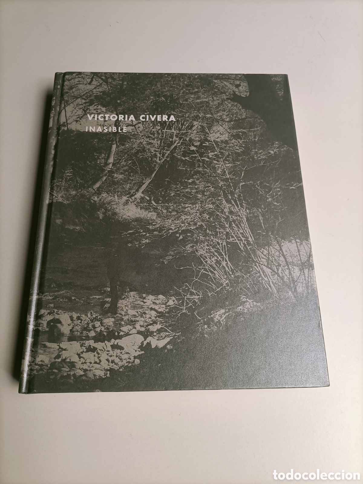 Libros de segunda mano: Victoria Civera. Inasible. Museo Casa de la moneda pintura escultura . Arte siglo XX XXI