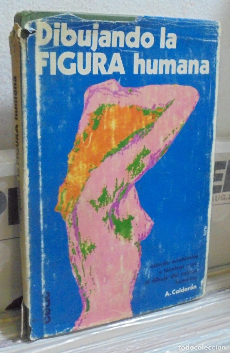 Libros de segunda mano: Dibujando la figura humana. A. Calder&oacute;n