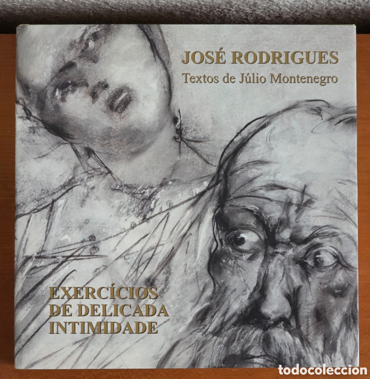 Livres d'occasion: Exerc&iacute;cios de Delicada Intimidade - Jos&eacute; Rodrigues - Textos Poeta J&uacute;lio Montenegro