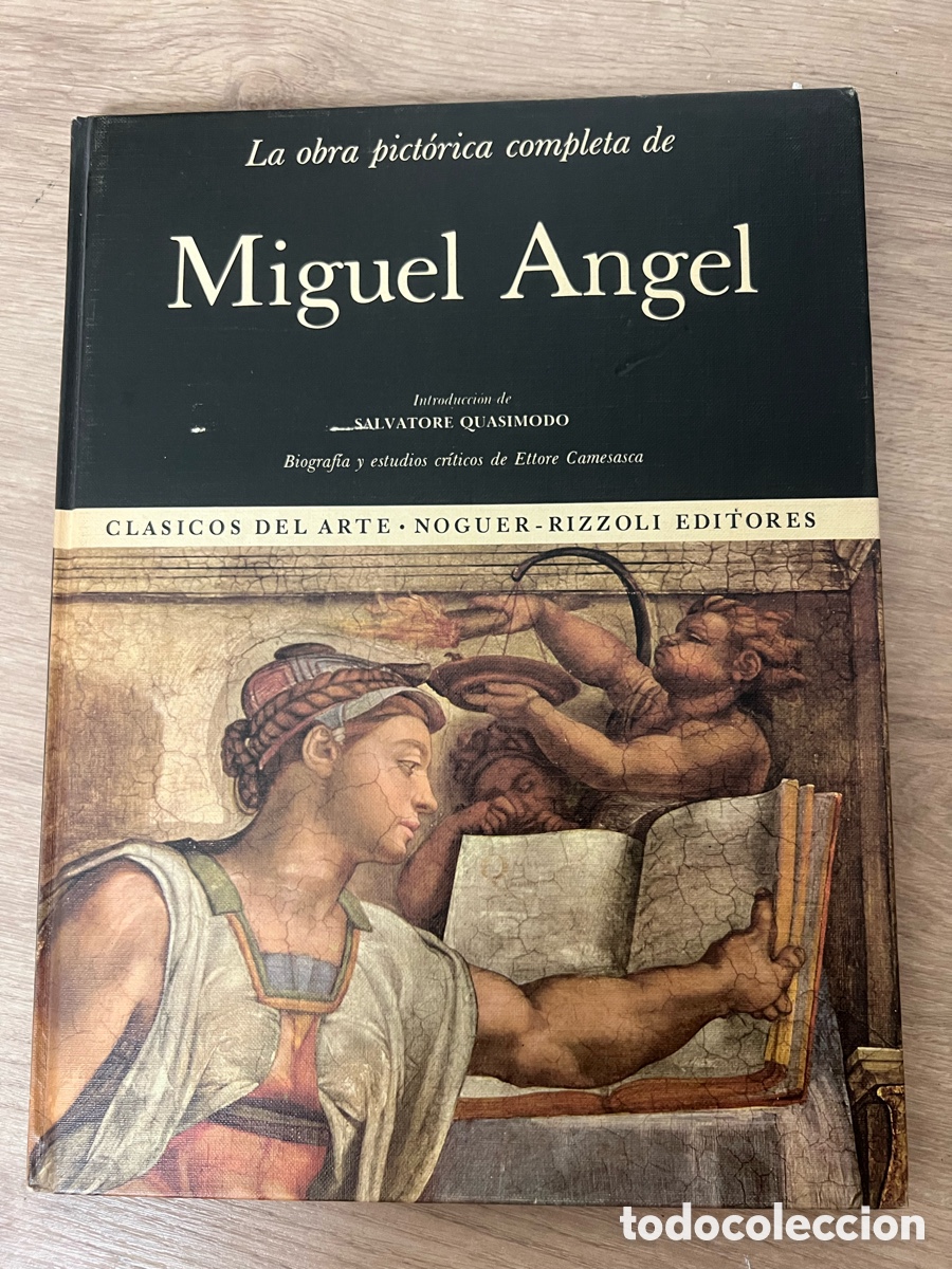 Libros de segunda mano: Obra Pict&oacute;rica Completa de Cl&aacute;sicos del Arte - 20 Tomos - Editorial Noguer - Rizzoli Editores
