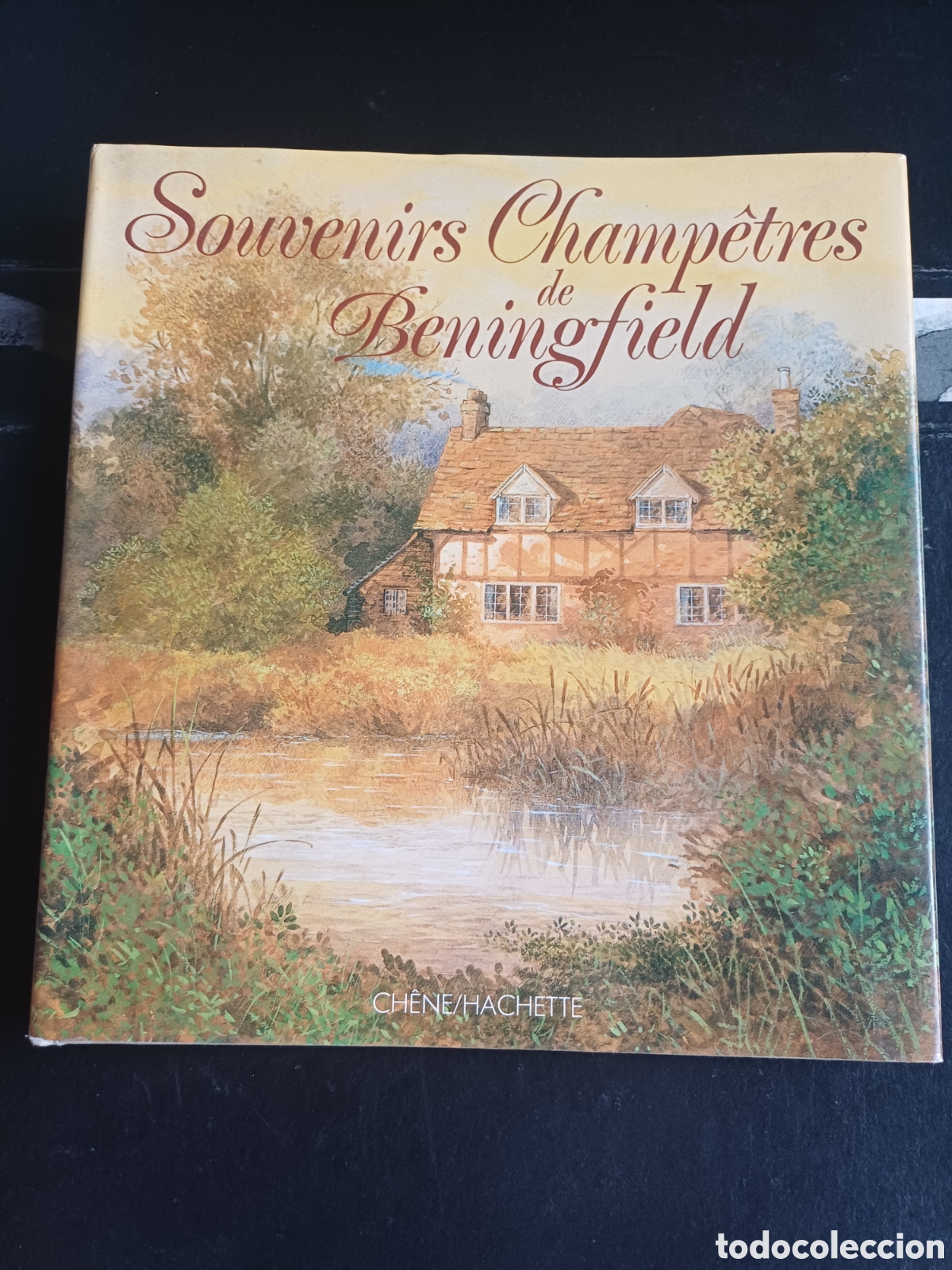 Libros de segunda mano: Souvenirs Champ&ecirc;tres de Beningfield - arte pintura naturalismo Gordon Beningfield