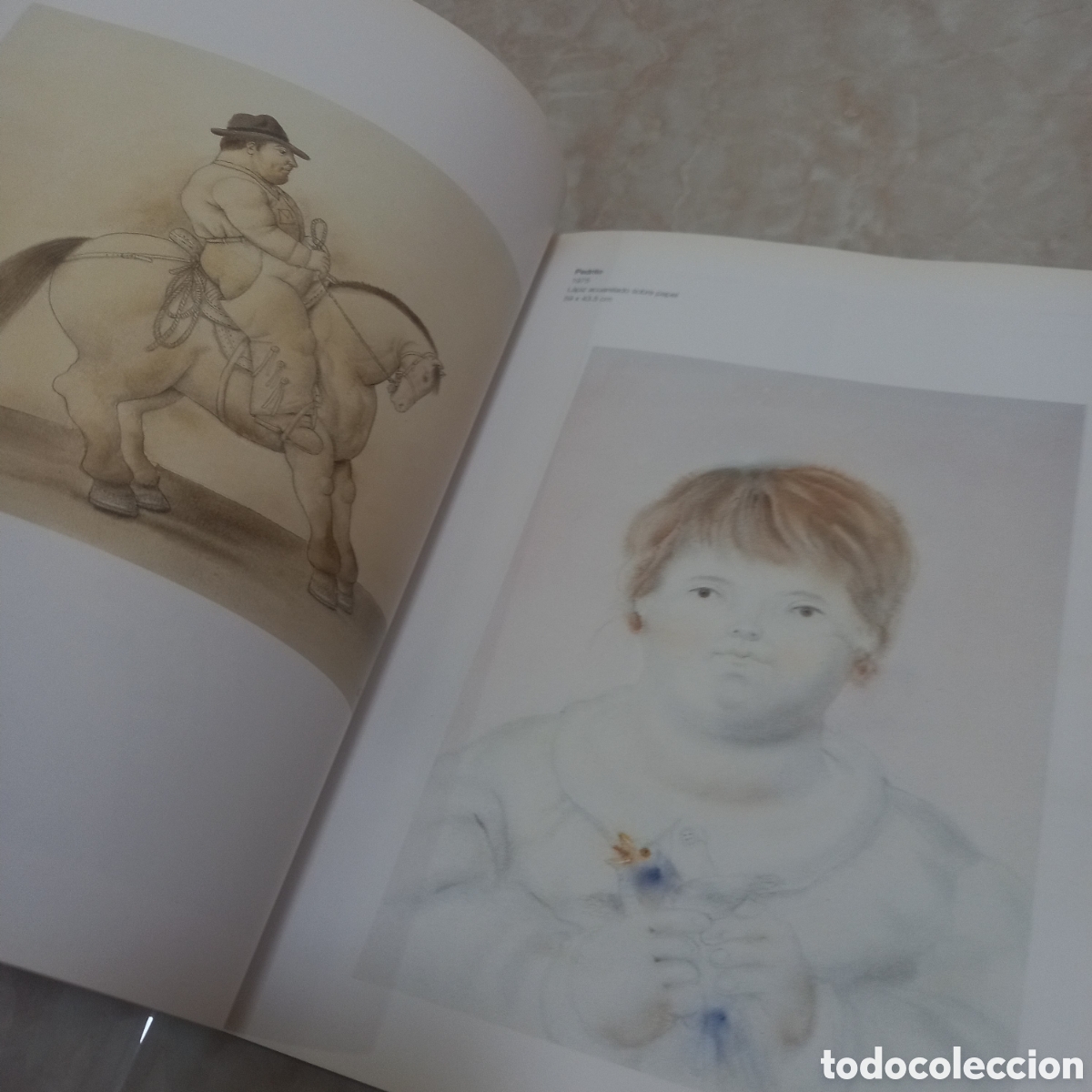 Libros de segunda mano: Libro Fernando Botero