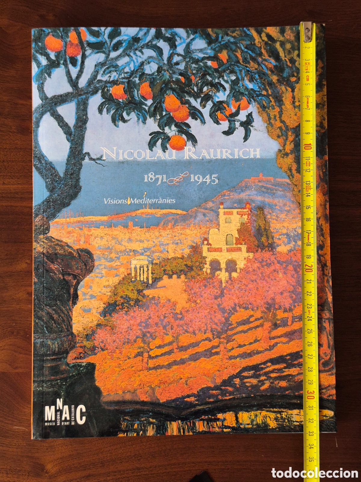 Libros de segunda mano: Nicolau raurich, visions mediterranies
