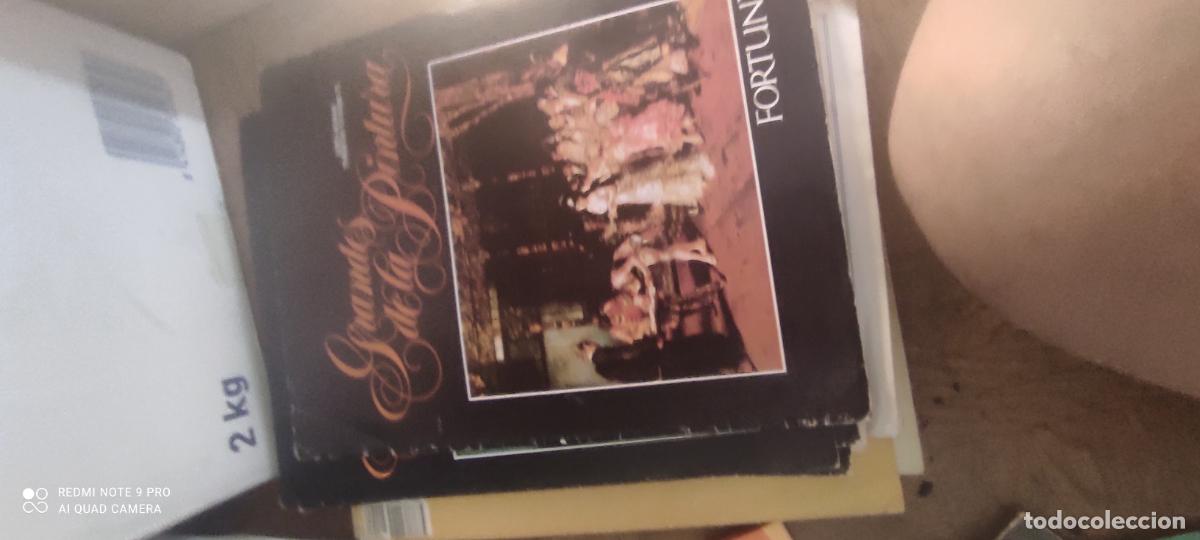 Libros de segunda mano: grandes de la pintura fortuny