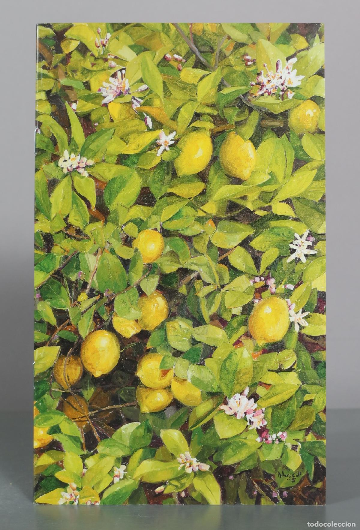 Libros de segunda mano: CATALOGO. Ribes Coll - &Oacute;leos - Galer&iacute;a Dur&aacute;n 2005