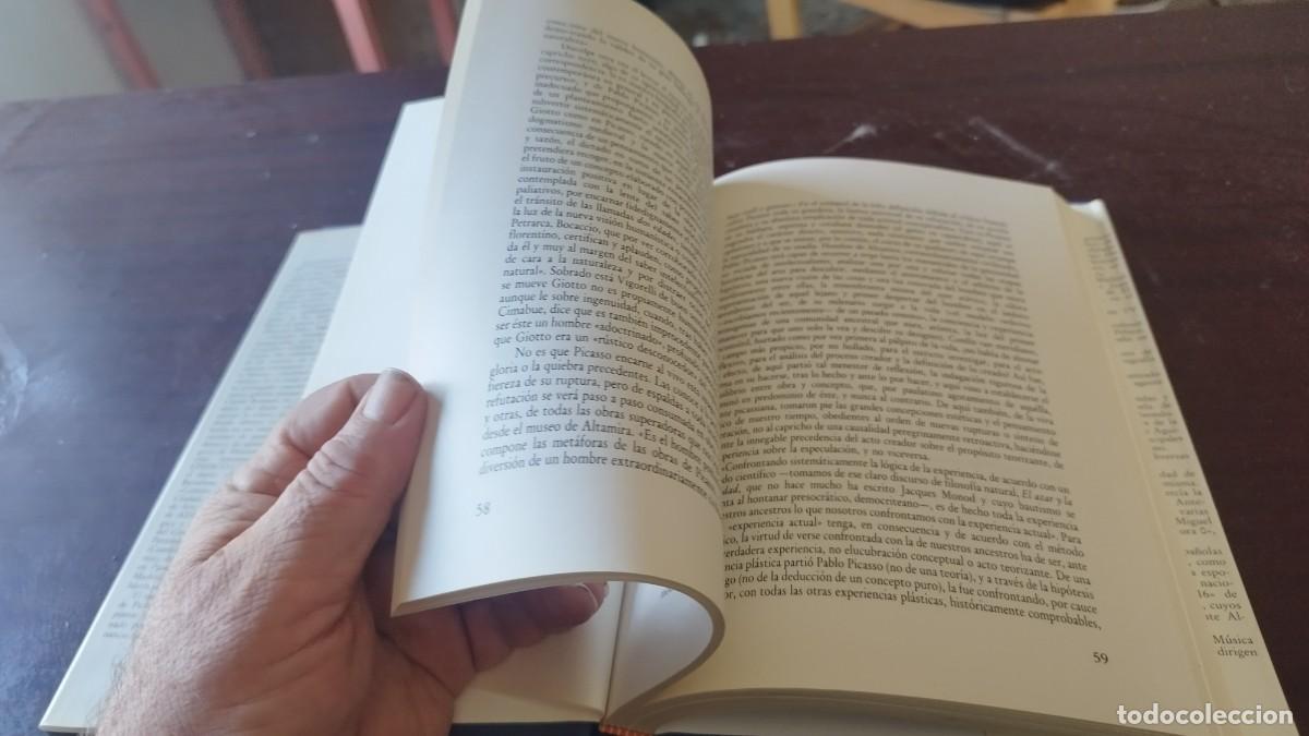 Libros de segunda mano: PICASSO / SANTIAGO AMON / CJA 607 / VISOR - Foto 14
