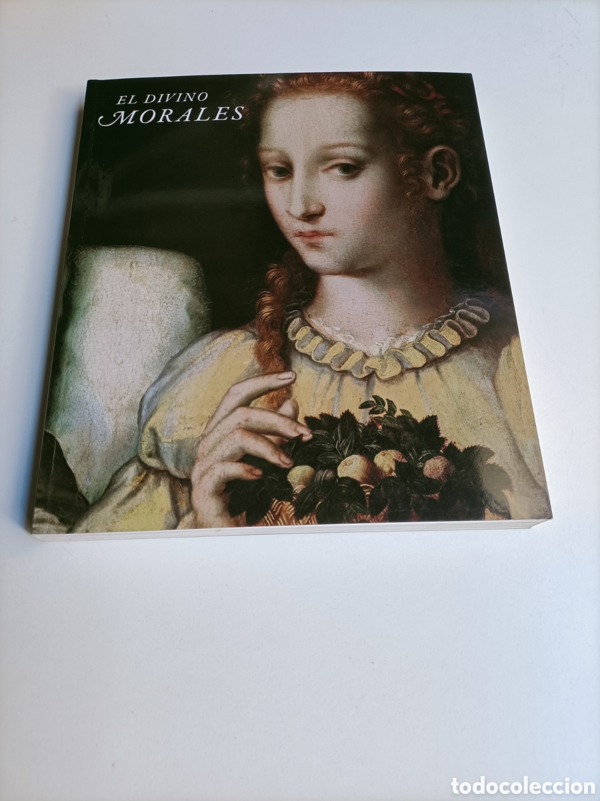 Libros de segunda mano: El divino morales. Edici&oacute;n a cargo Leticia Ruiz G&oacute;mez. Museo Nacional del Prado 2015 pintura antigua