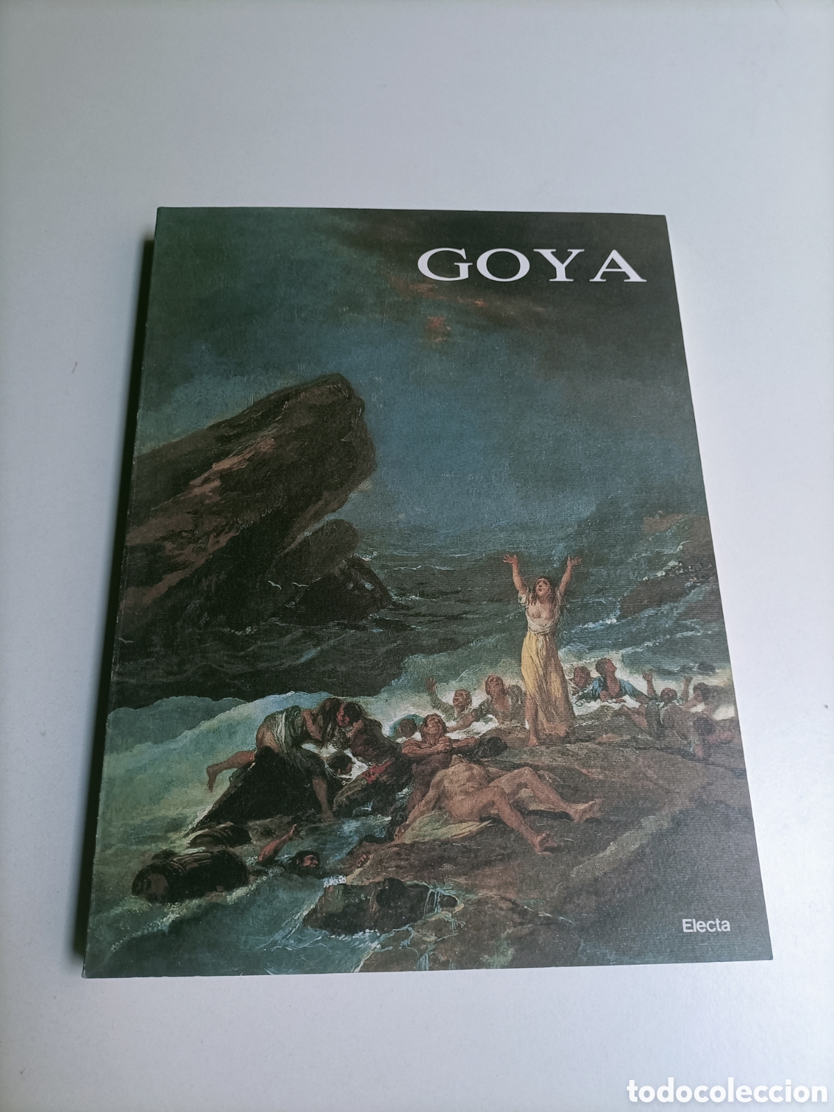 Livros em segunda m&atilde;o: Goya. Ayuntamiento de Zaragoza la lonja a&ntilde;o 1992
