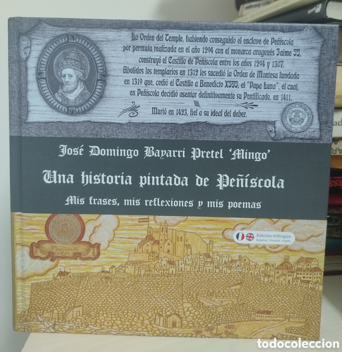 Libros de segunda mano: Una historia pintada de Pe&ntilde;&iacute;scola &ndash; Jos&eacute; Domingo Bayarri Pretel &laquo;Mingo&raquo; &ndash; Dedicado por el autor
