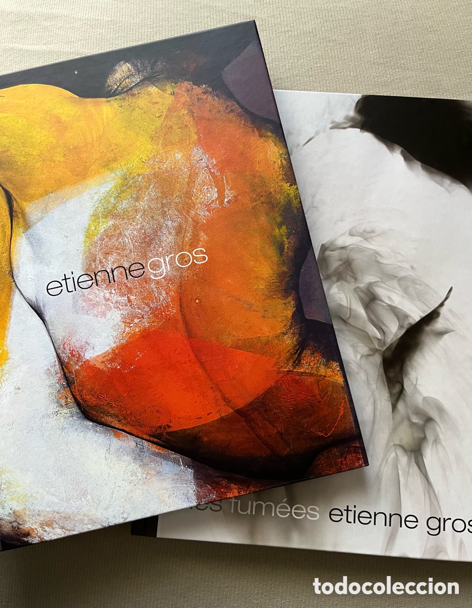 Libros de segunda mano: Libro de arte - Etienne Gros - Foto 2