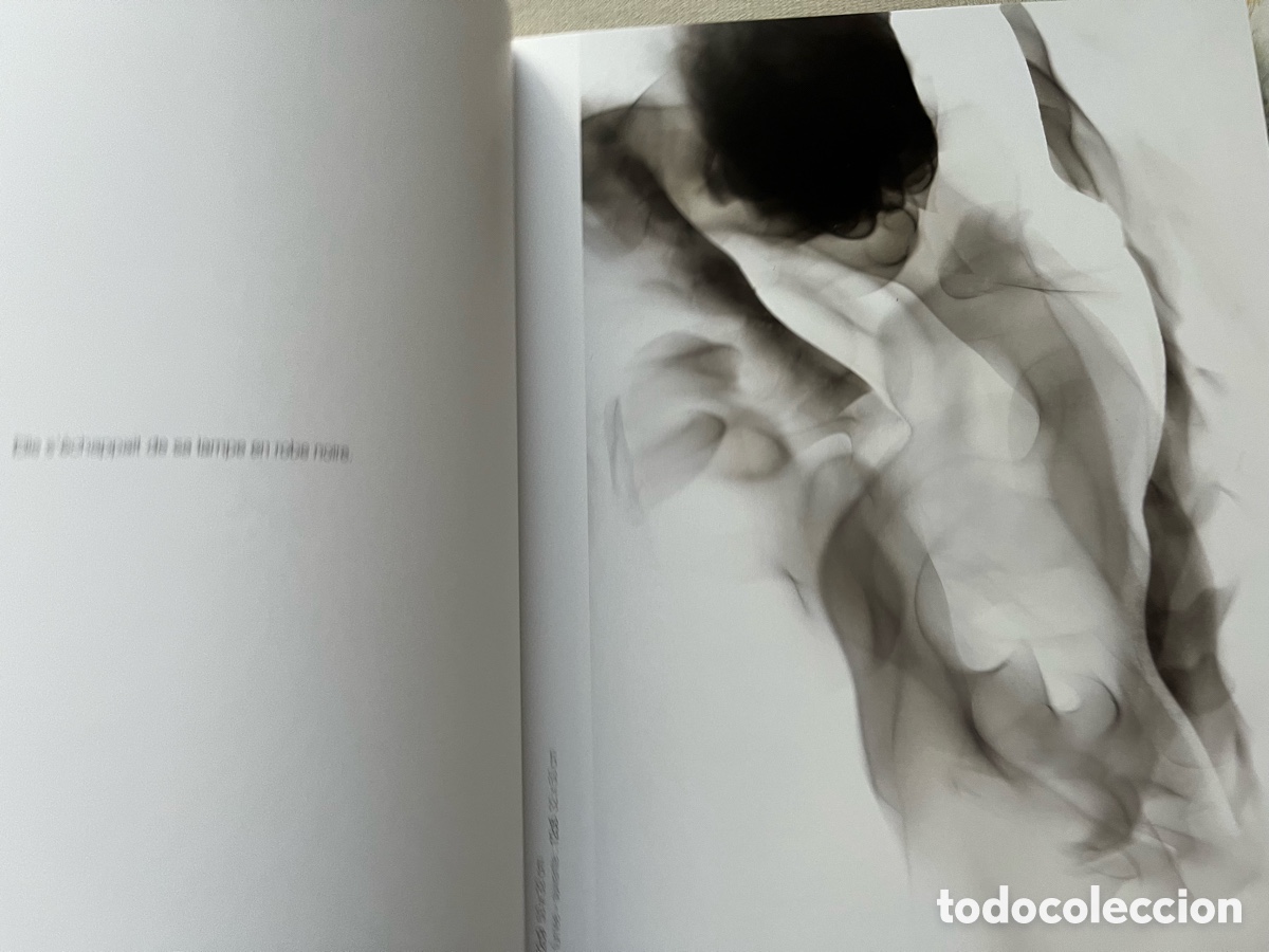 Libros de segunda mano: Libro de arte - Etienne Gros - Foto 8