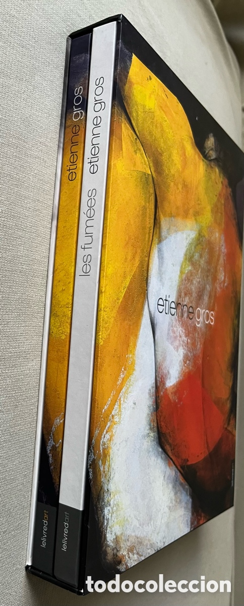 Libros de segunda mano: Libro de arte - Etienne Gros - Foto 15