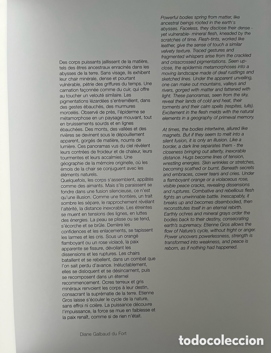 Libros de segunda mano: Libro de arte - Etienne Gros - Foto 18