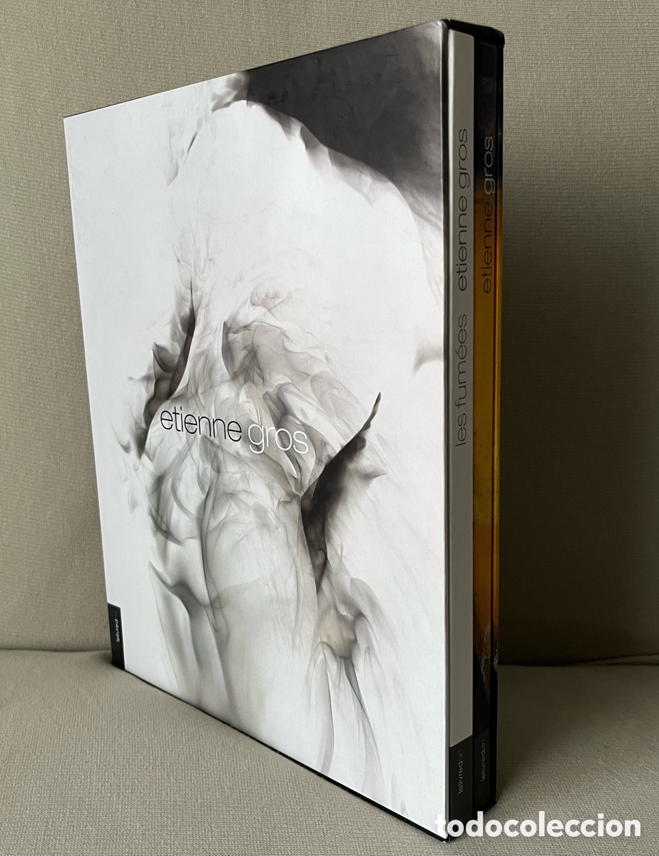 Libros de segunda mano: Libro de arte - Etienne Gros