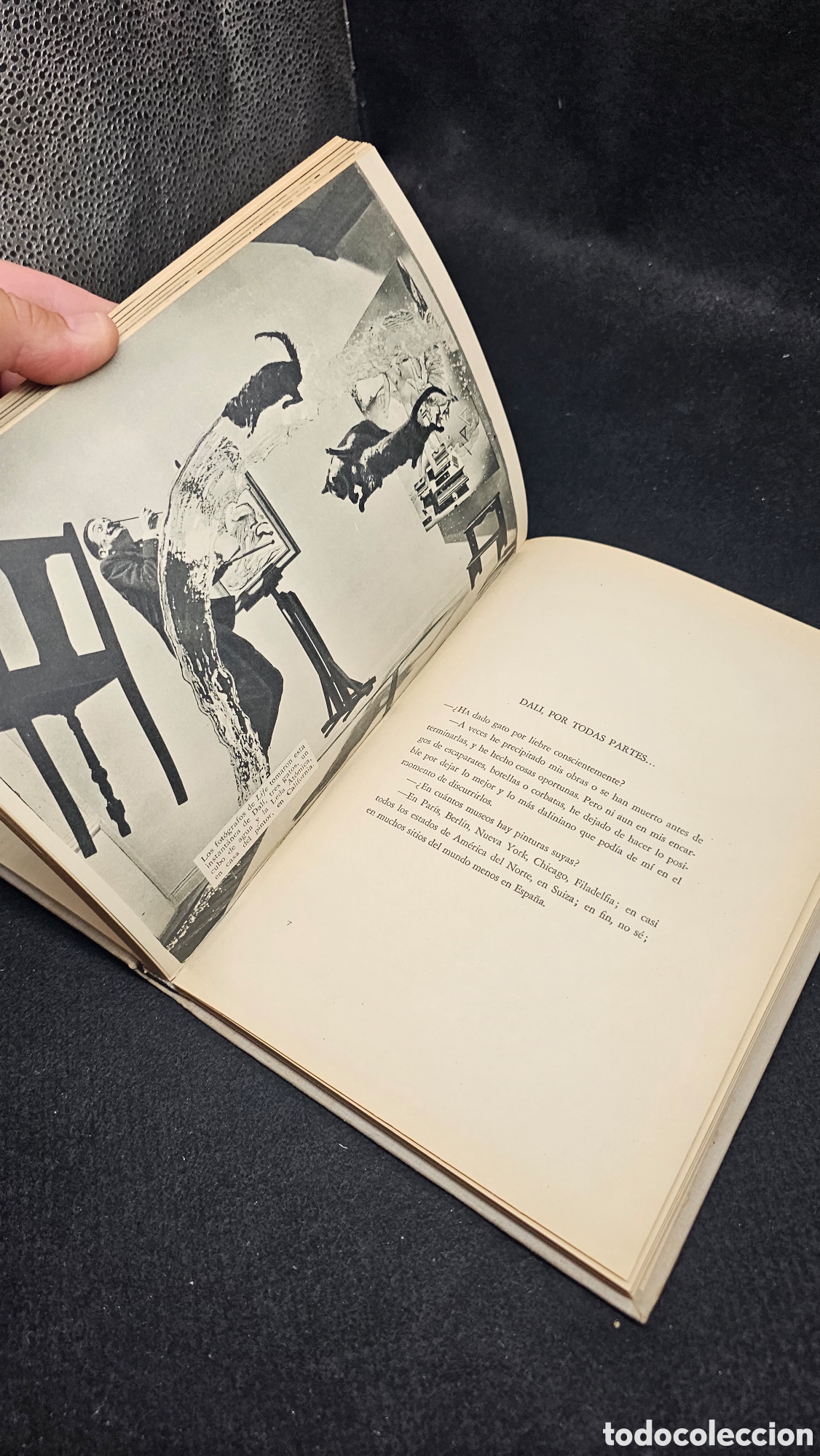 Libros de segunda mano: DAL&Iacute; al desnudo 1952 - Foto 9