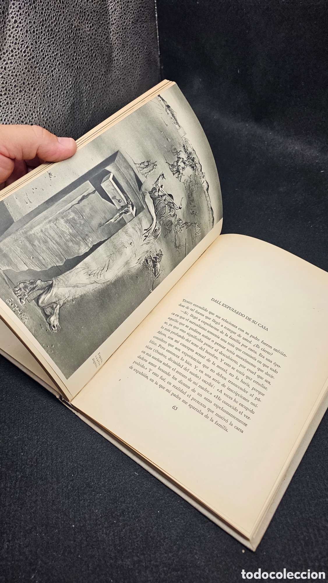 Libros de segunda mano: DAL&Iacute; al desnudo 1952 - Foto 11