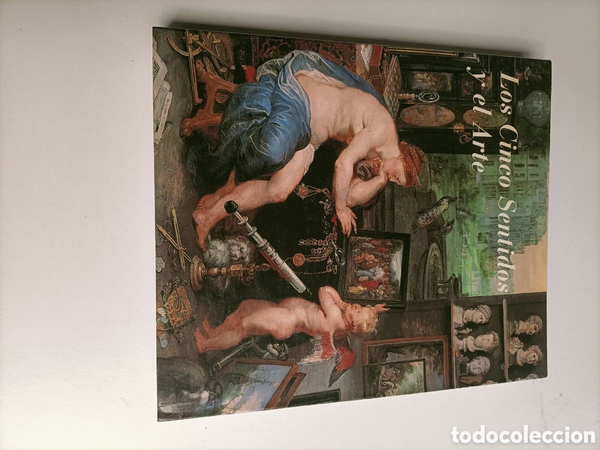 Libri di seconda mano: Los cinco sentidos y el arte. Museo del Prado