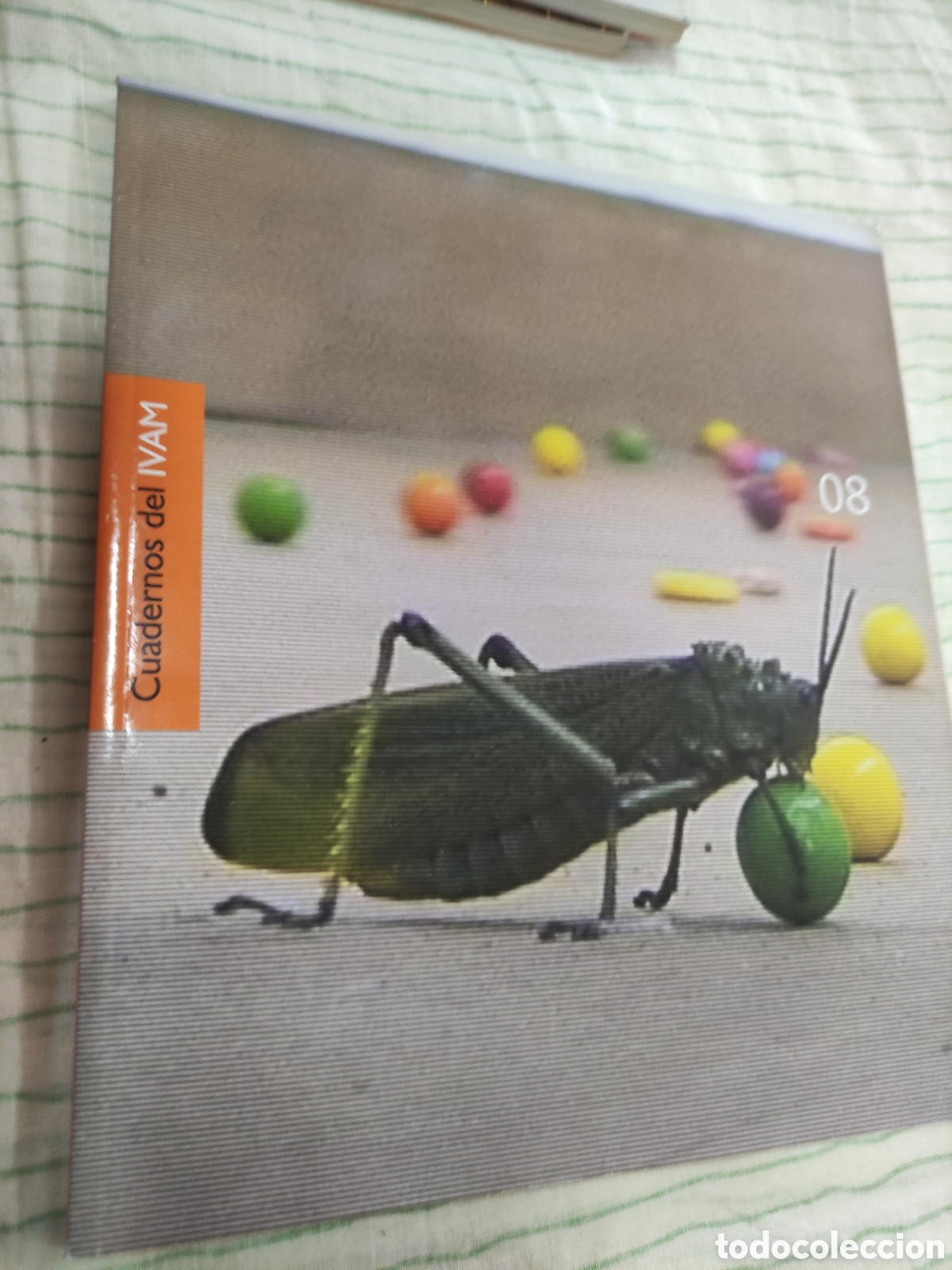 Gebrauchte B&uuml;cher: Cuadernos del IVAM - 08 - 2006