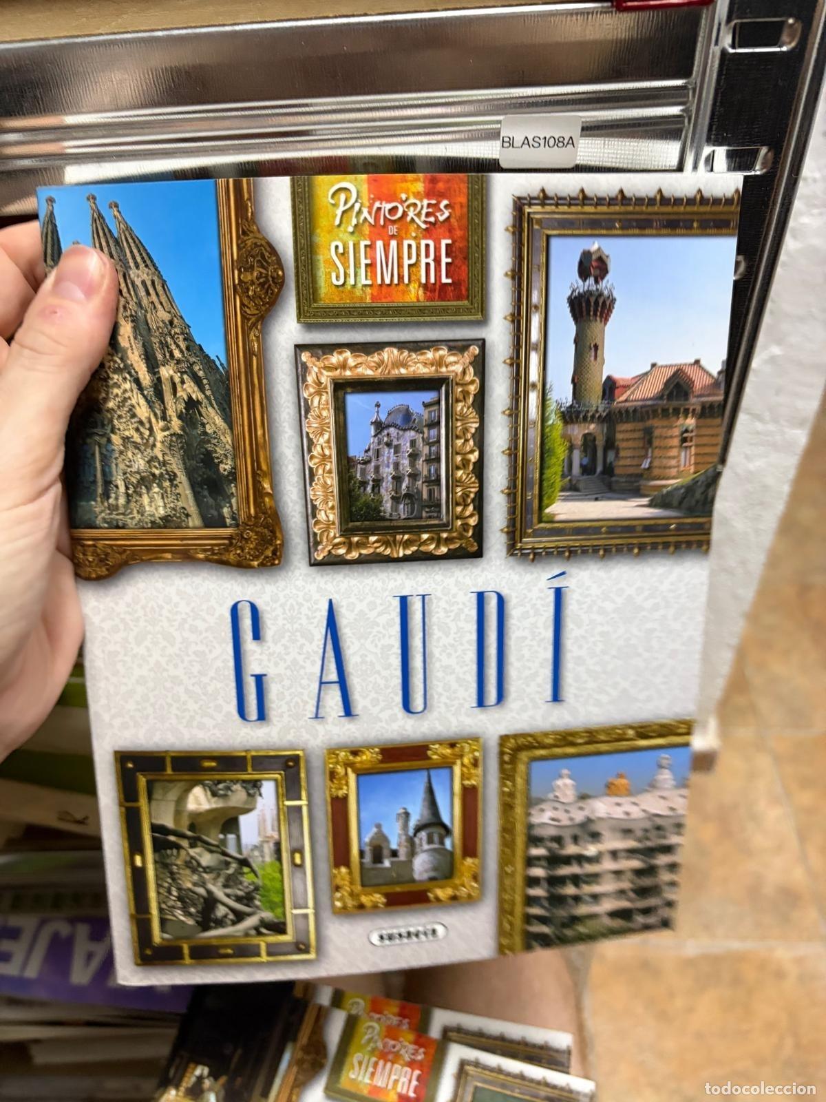 Libros de segunda mano: BLAS108A Gaud&iacute; Susaeta Pintores de siempre