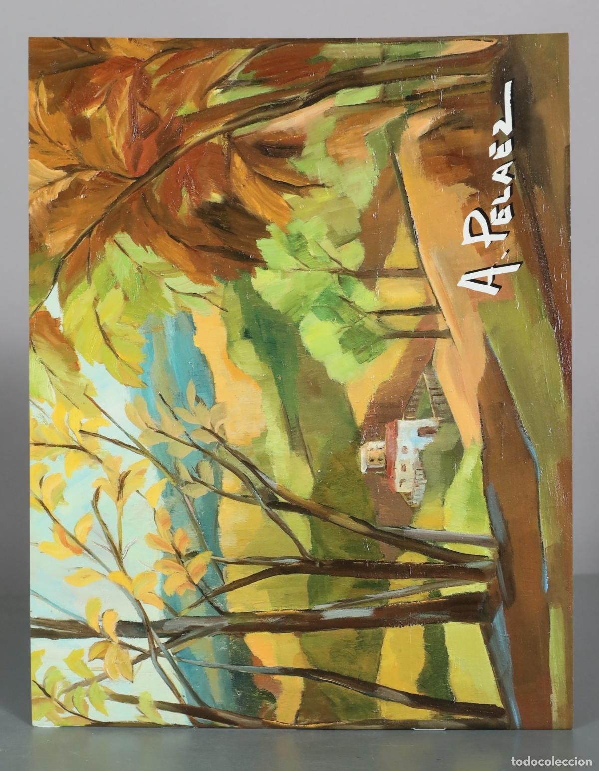 Second hand books: CATALOGO. Paisaje - A. Pelaez - Oleo sobre lienzo