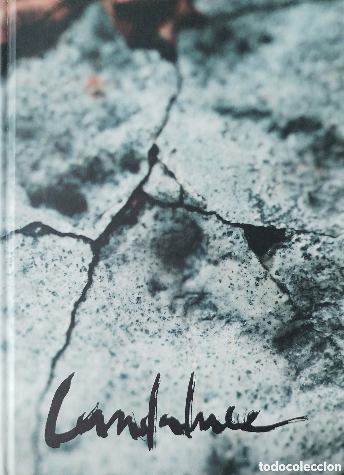 Libros de segunda mano: Luc&iacute;a Landaluce. Cat&aacute;logo exposici&oacute;n en la Sala Am&oacute;s Salvador. 2015.
