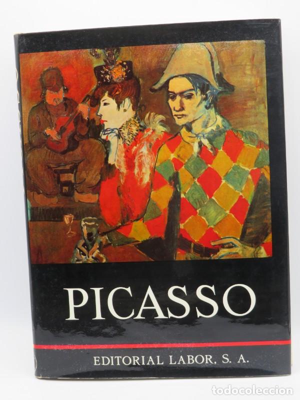 Second hand books: Picasso - Hans L C Jaff&eacute; - Editorial Labor - 1967