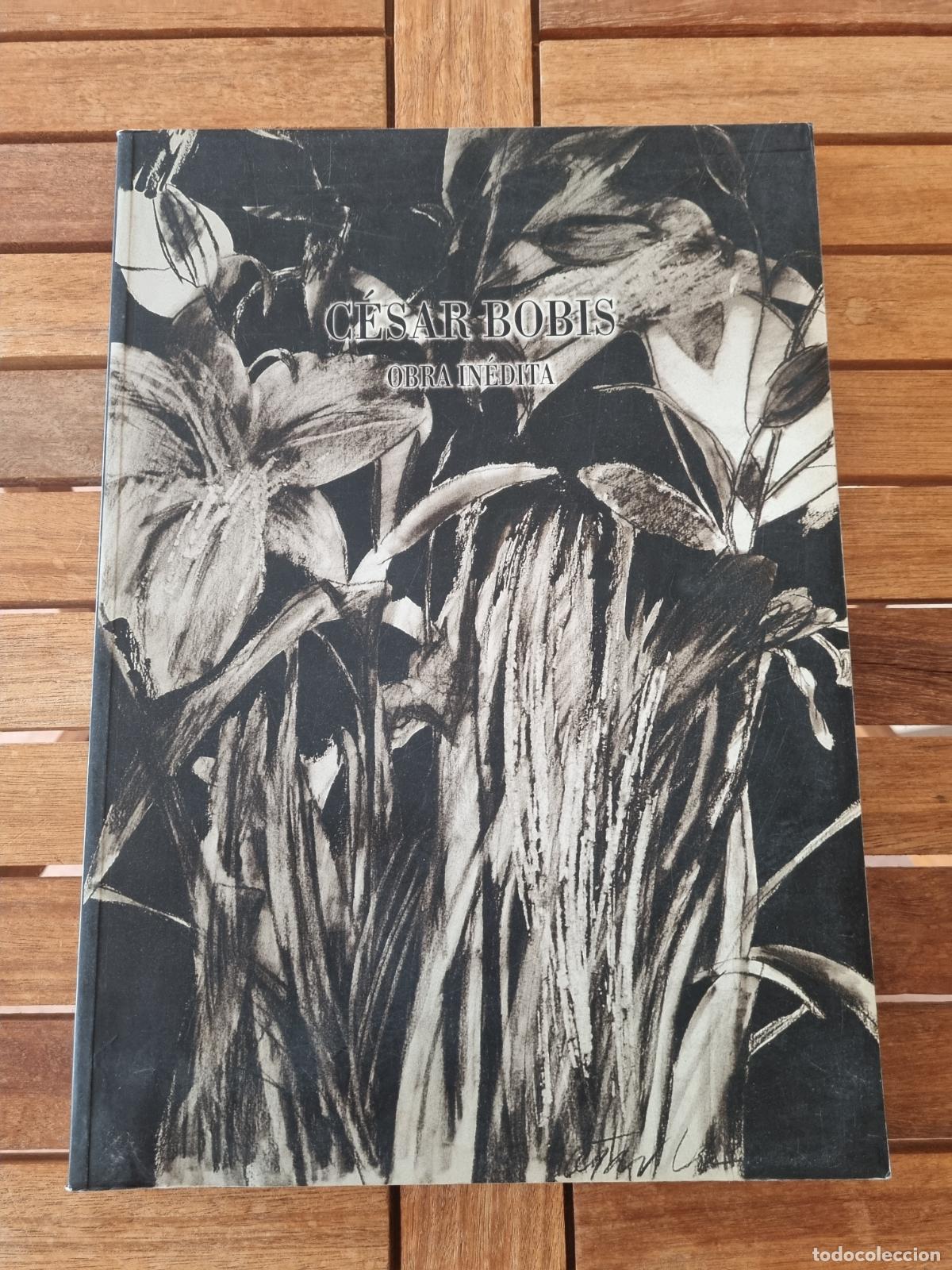Libros de segunda mano: C&eacute;sar Bobis - Obra in&eacute;dita - Libro de arte - Muy ilustrado - BDC