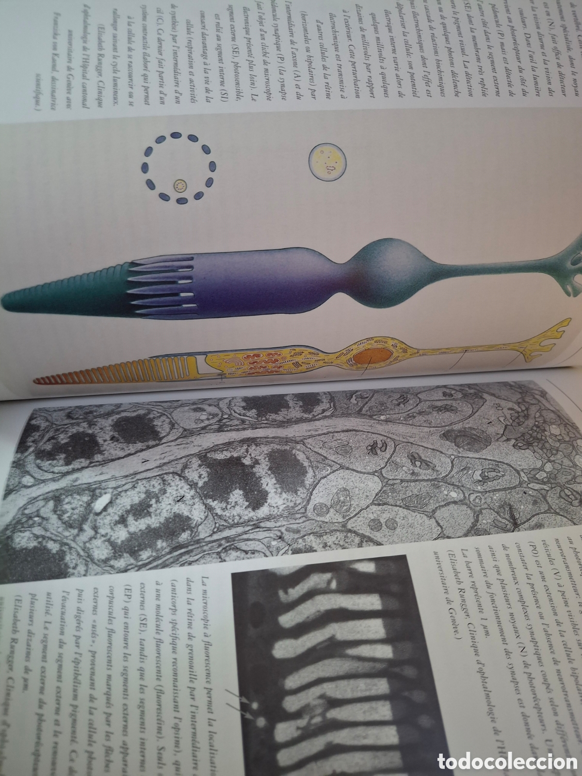 Libros de segunda mano: TRAIT&Eacute; DES COULEURS, V.V.A.A., 2001 - Foto 2