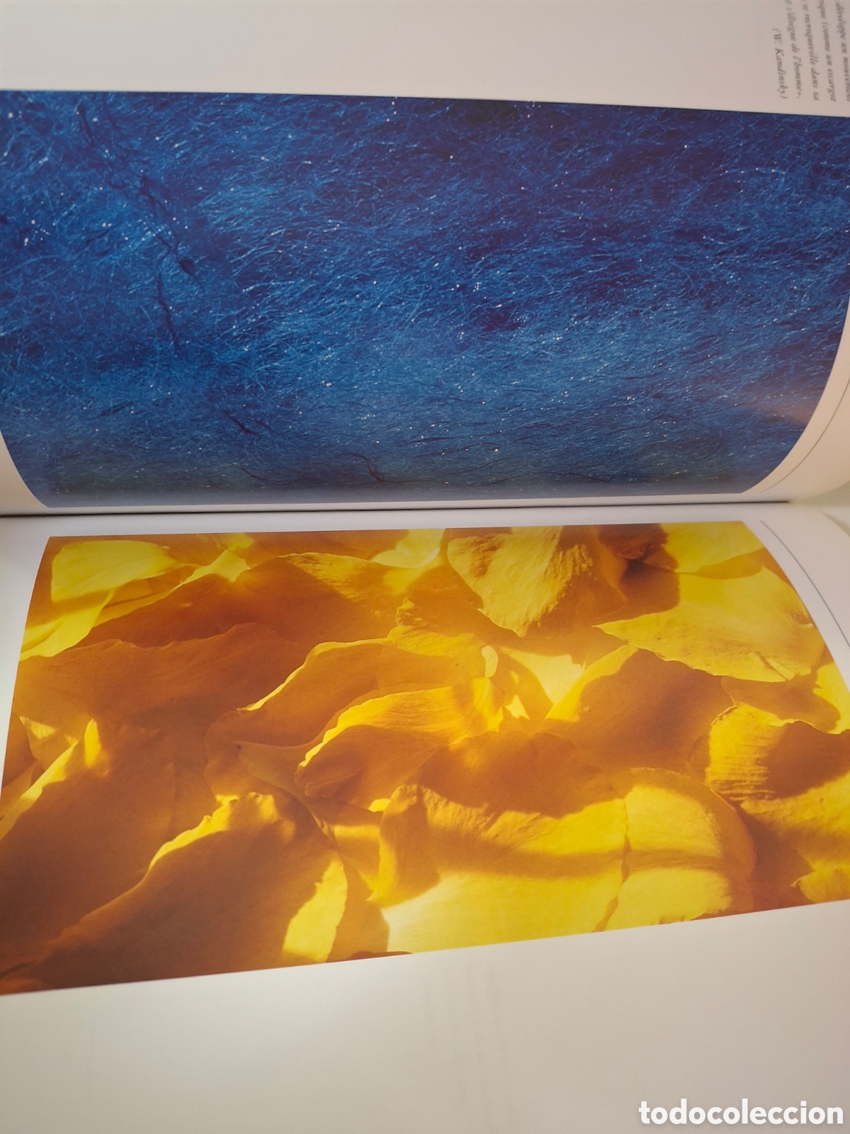 Libros de segunda mano: TRAIT&Eacute; DES COULEURS, V.V.A.A., 2001 - Foto 7