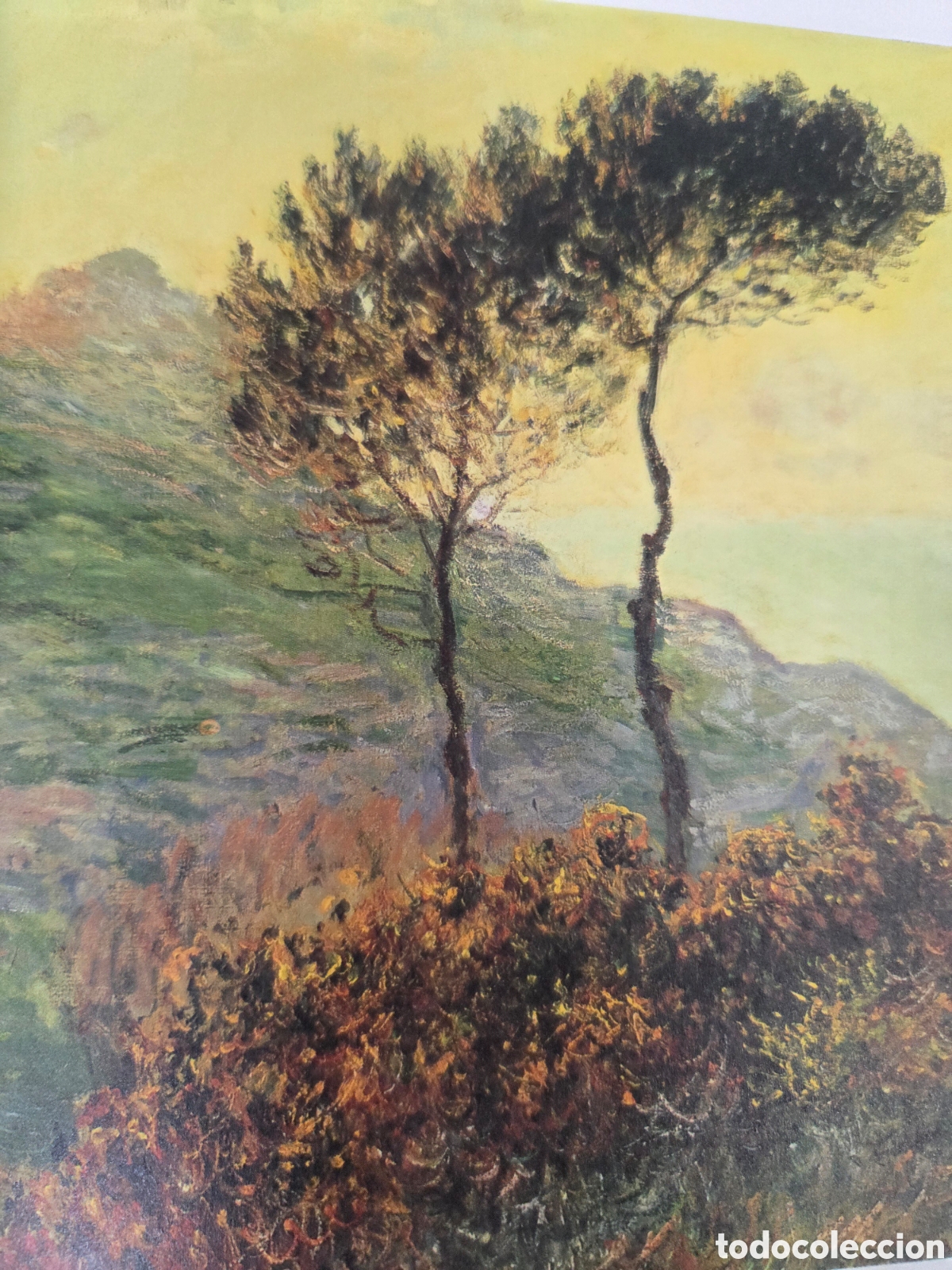 Libros de segunda mano: Genios de la Pintura: Monet - Foto 6
