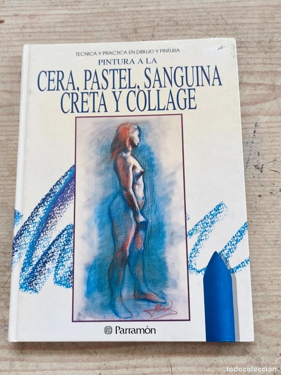 Libros de segunda mano: T&eacute;cnica y Pr&aacute;ctica en Dibujo y Pintura - Pintura a la Cera, Pastel, Sanguina, Creta y Collage - 1992