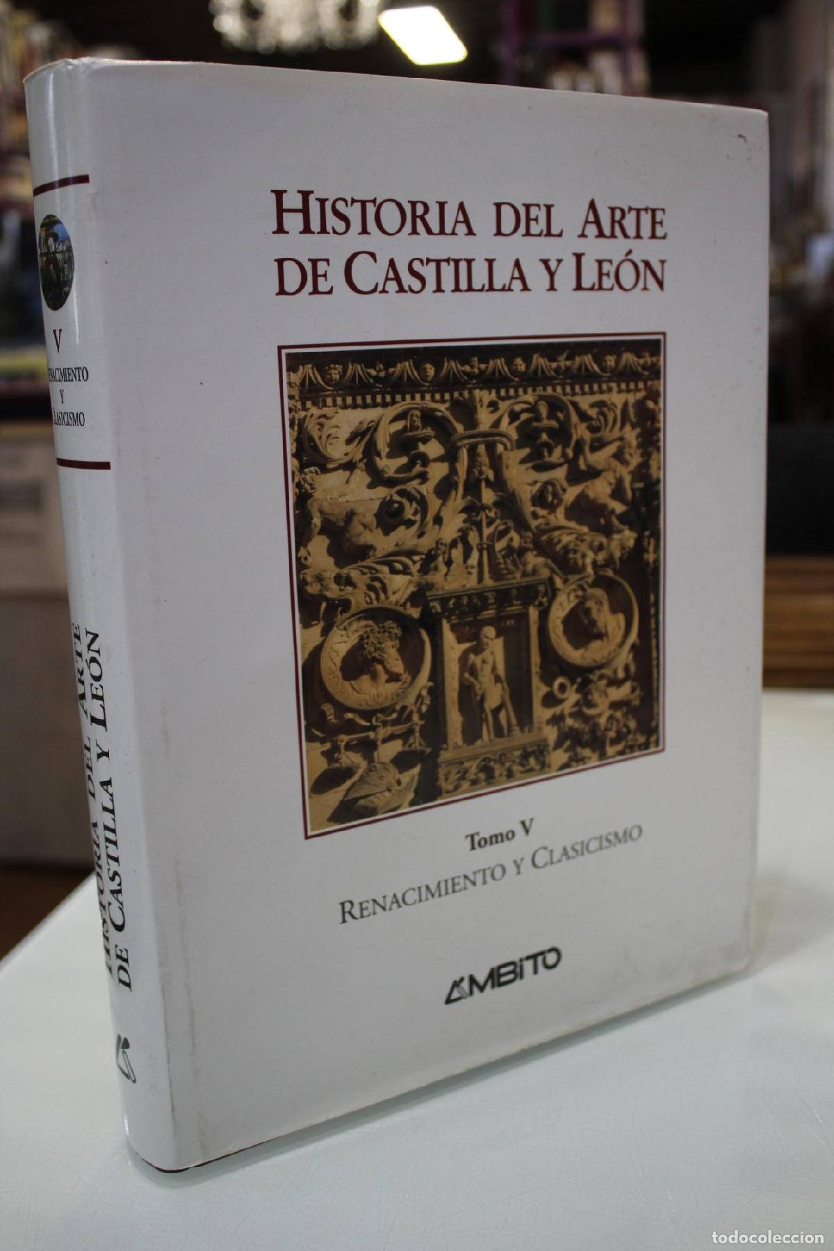Libros de segunda mano: Historia de Arte de Castilla y Le&oacute;n. Tomo V. Renacimiento y Clasicismo - Jos&eacute; Javier Rivera Blanco;