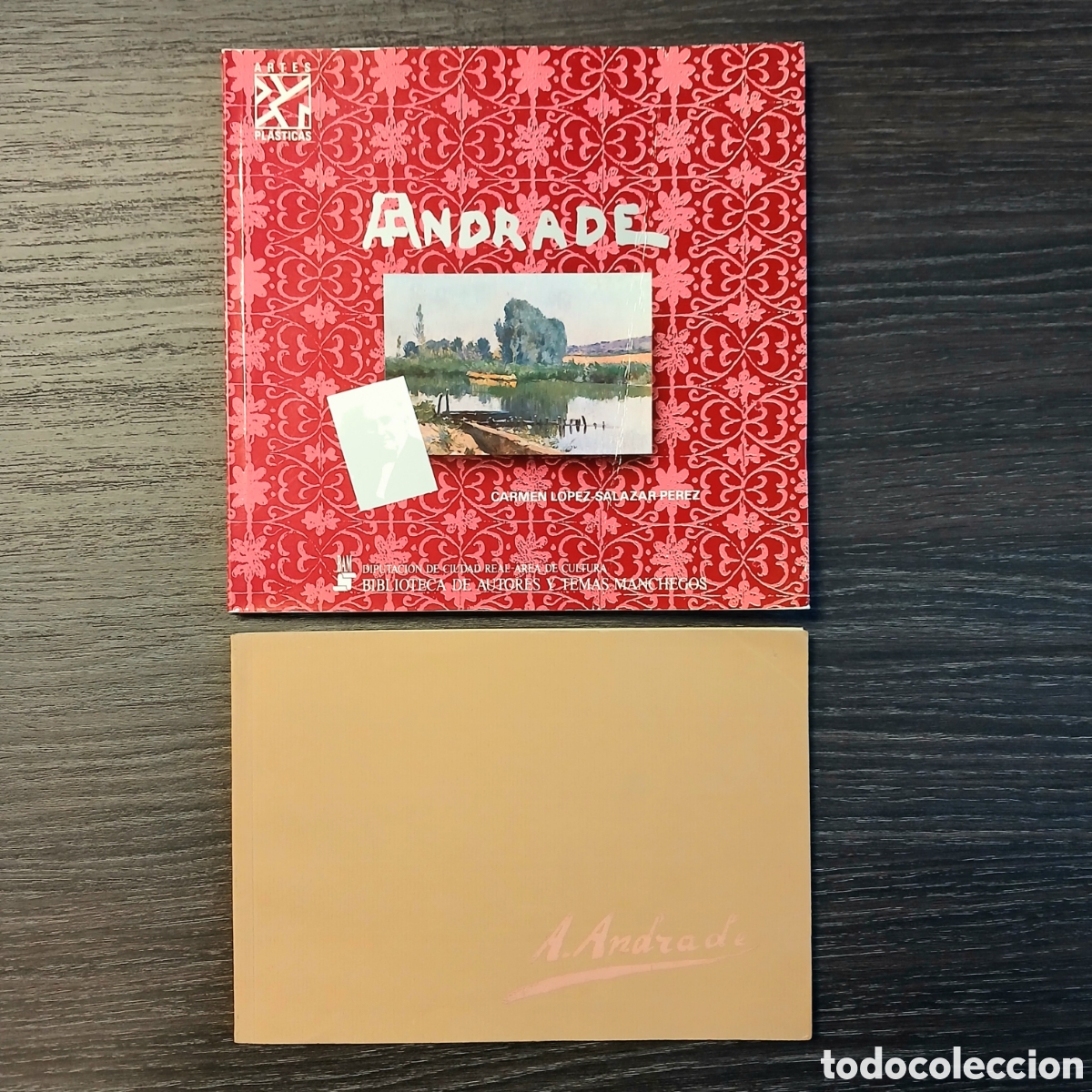 Libros de segunda mano: Lote libros pintor &Aacute;ngel Andrade