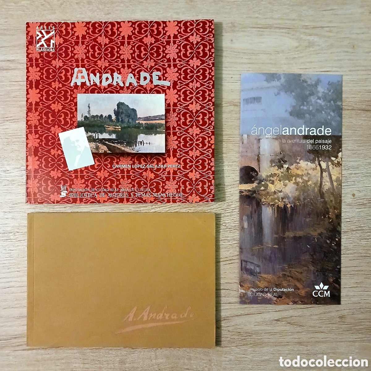 Libros de segunda mano: Lote libros pintor &Aacute;ngel Andrade