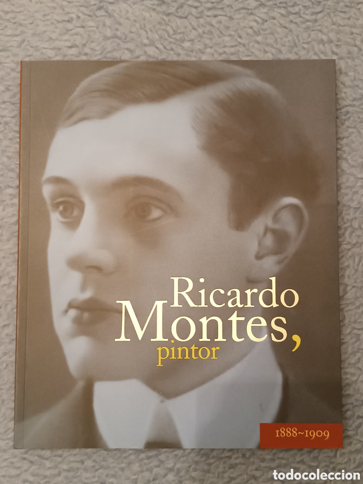 Libros de segunda mano: ⭐ RICARDO MONTES, PINTOR (1988-1909) - Museo de Bellas Artes de Asturias (1995)