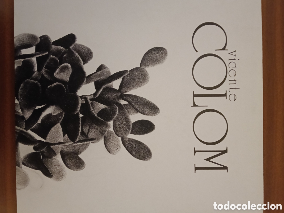 Libros de segunda mano: Vicente Colom , extraordinario libro